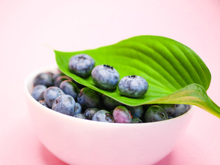 blueberries on a green leaf. pink coral background. Blueberries with leaf close-up. Fruit still life for organic healthy food.