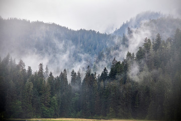 USA, Alaska, Inside Passage, Foggy Ridge