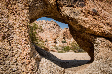 USA, Southern California, Drought Spotlight number 3, Rte 66 Expedition, Joshua Tree National Park,...