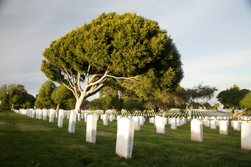 USA, California, San Diego. Naval cemetary at Point Loma.