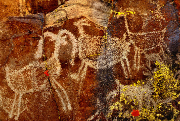 USA, California, Little Petroglyph Canyon, Ridgecrest. Wall of ancient petroglyph rock carvings. 