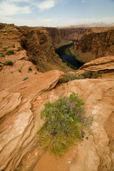 Colorado River Near Glen Canyon Dam and Lake Powell, Page, Arizona, US