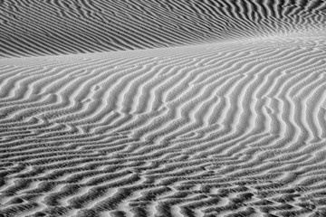 USA, California. Black and white image of windblown sand dune