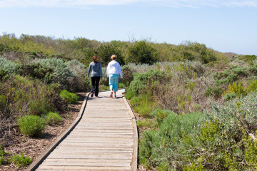 Fototapeta na wymiar USA, California, Oso Flaco State Park, part of Oceano Dunes SVRA (State Vehicular Recreation Area). Boardwalk inviting trail to overlook