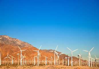 Palm Springs, CA, USA. Wind turbine farm in the desert under a clear blue sky. - obrazy, fototapety, plakaty