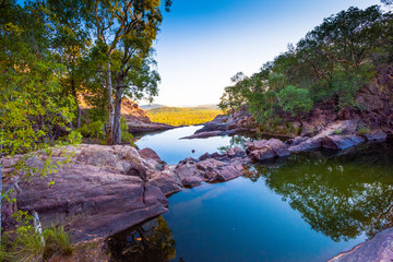 kakadu