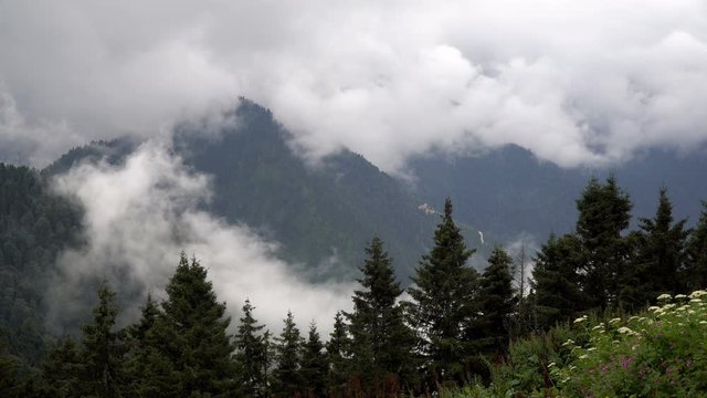 Mountains and clouds of Turkey at The Black Sea Region, as time lapse. Video taken at The Pokut Plateau at Rize, Turkey.