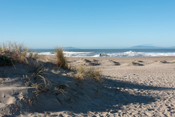 Usa, California, Oxnard. Walker on beach. Channel Islands beyond. Grasses in dunes