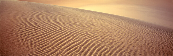 USA, California, Death Valley NP. The wind carves intricate ripples in the sand dunes of California's Death Valley National Park.