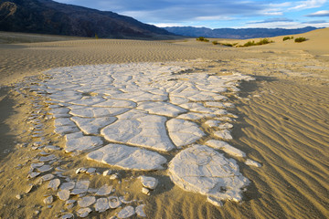 USA, California, Death Valley, Dried mud exposed on the rippled sand, Mesquite Flat Sand Dunes.