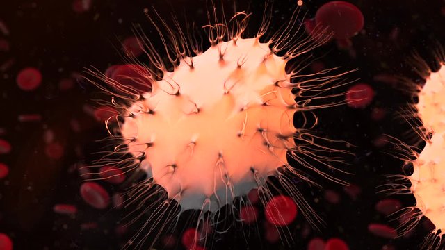 Cancer cell science and healthcare under an electron microscope