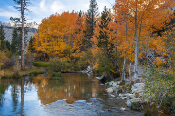 Bishop Creek. Outlet and fall color below the Sabrina Lake dam
