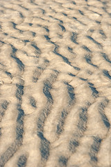 USA, Florida, New Smyrna Beach, pattern in sand at Smyrna Dunes Park.