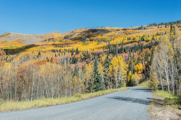Usa, Colorado, Routt National Forest, Autumn Road in the Flat Tops Wilderness