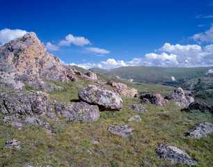 USA, Colorado, Rocky Mountain National Park, Alpine tundra and lichen covered rocks along upper portion of Old Fall River Road.