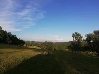 Fototapeta premium landscape with trees and blue sky