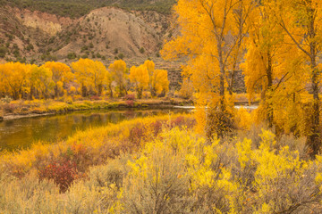USA, Colorado, Eagle River. Cottonwoods in fall color and river. Credit as: Cathy and Gordon Illg /...