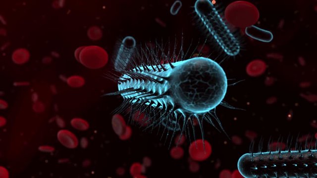 E. coli bacteria found in intestine of warm-blooded organism