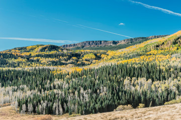 Fototapeta premium Usa, Colorado, Routt National Forest, Autumn Road in the Flat Tops Wilderness