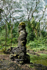 USA, Hawaii, The island of Hawaii, Hilo. Lava Tree State Park.