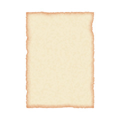 Old paper sheet, vector in realistic style