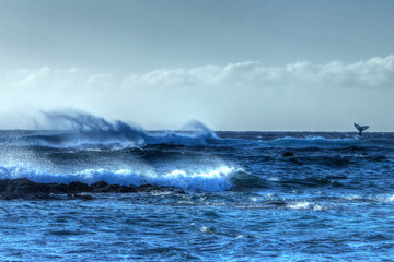 Anaeho'omalu Bay, Kohala Coast, Big Island, Hawaii, USA