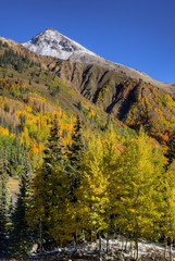 USA, Colorado. autumn color in the San Juan Mountains, Colorado 