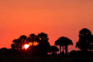 Fototapeta na wymiar Sunset over the Kissimmee Preserve State Park, Florida