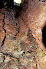 USA, Hawaii, The island of Hawaii, Hilo. Lava Tree State Park, inside view of lava tube.