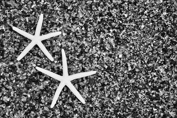 USA, Hawaii, Kauai. Starfish skeletons at Glass Beach. 