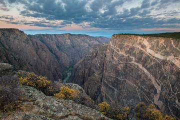 Sunrise over Gorge and Amelanchier, Gunnison River, Black Canyon National Park, Colorado.