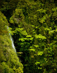 Lovely waterfalls and cascades abound amid the lush tropical greenery of Akaka Falls State Park, Big Island, Hawaii.