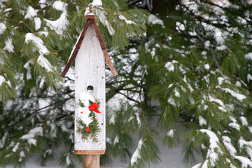 Bird, nest box with holiday swag in winter, Marion, Illinois, USA.
