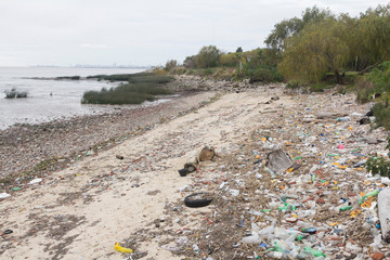 Beach shore contaminated with plastic bottles, used tires and other non-biodegradable waste. Buenos Aires, Argentina.