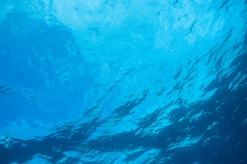 Fototapeta na wymiar Scuba Diving at Molokini Crater, Maui, Hawaii, USA