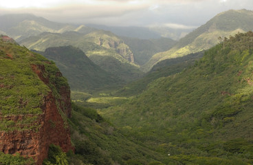 Naklejka premium USA, Hawaii, Kauai, Canyon overlook. 