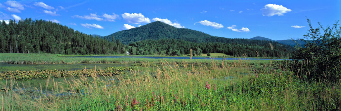 USA, Idaho, Kellogg area. A peaceful pond is a popular fishing hole near Kellogg, Idaho.