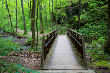 Fototapeta na wymiar Trail bridge at Ferne Clyffe State Park, Johnson County, Illinois
