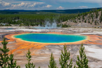 Grand Prismatic Spring