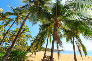 Hulopo& 39 e Beach Park, considérée comme l& 39 une des plus belles plages du monde, Lanai Island, Hawaii, USA