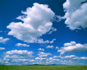 USA, Idaho, Camas Co. Puffy summer clouds hang in the bright sky over the endless sagebrush of Camas County, Idaho.