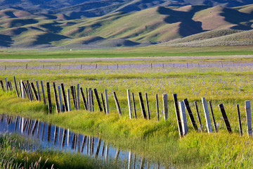 USA, Idaho, Fairfield, Camas Prairie, Creek and fence in the Camas Prairie