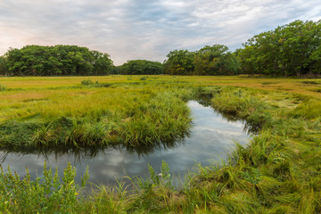 The salt marsh along the Castle Neck River in Ipswich, Massachusetts.
