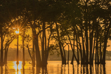 USA, Louisiana. Sunrise on Miller's Lake. Credit as: Cathy and Gordon Illg / Jaynes Gallery /...