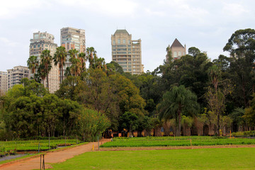 Ibirapuera