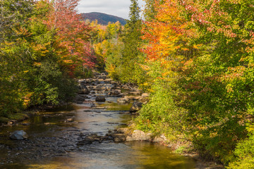 Orbeton Stream in fall. Madrid Township, Maine.