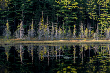Usa, Maine, Baxter State Park, Reflections on Abol Pond.
