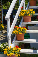 Flower shop on Lake Kalamazoo, Saugatuck, West Michigan, USA.