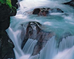 USA, Montana, Glacier NP. Water sheets from a boulder in Avalanche Creek, Glacier National Park,...