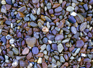 USA, Montana, Glacier NP. Water intensifies the color of these pebbles on Lake McDonald in Glacier National Park, Montana.